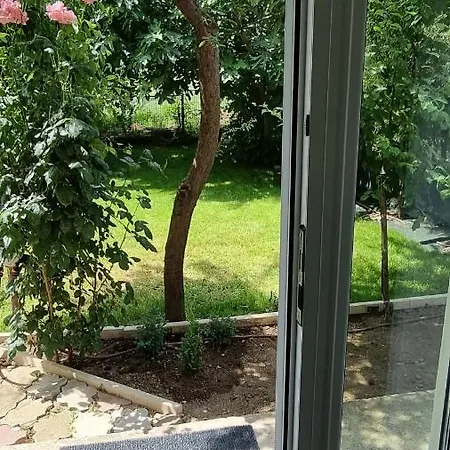 Apartament Seanest